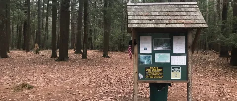 Park rx