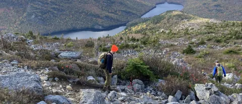 Zach Olsen Northern Bog Lemming Research 