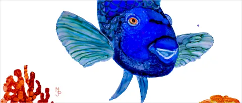 Painting of a blue koi fish on a white background