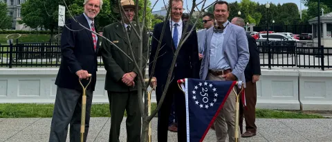  UNE researcher's chestnut trees planted at President’s Park in conservation milestone