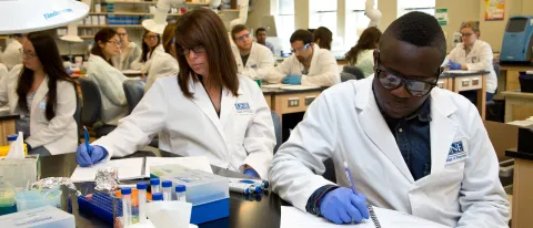 Students in UNE's College of Pharmacy