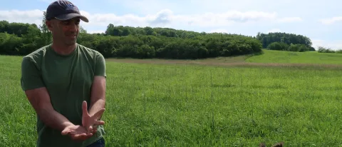 Noah Perlut releases an adult bobolink after banding it