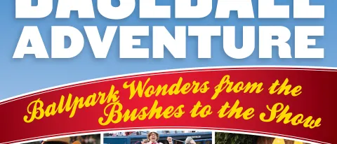 Cover of The Amazing Baseball Adventure