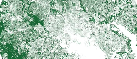 UNE Center for Global Humanities presents “The City: Sensed, Imagined and Realized” 