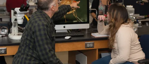 Geoff Ganter, one of the scientists for UNE's COBRE pain research, studies pain pathways in fruit flies