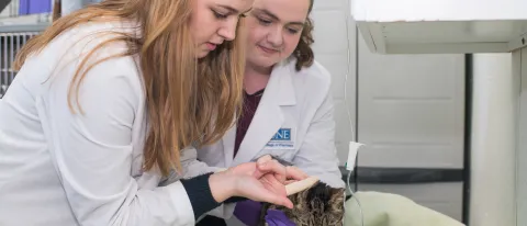 College of Pharmacy students Evan Carrell and Marlee Smith get experience with animal pharmaceuticals at the Hart shelter