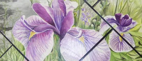 “Iris” (detail) by Moe Auger