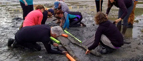 Students helped unearth and recover the canoe off Cape porpoise