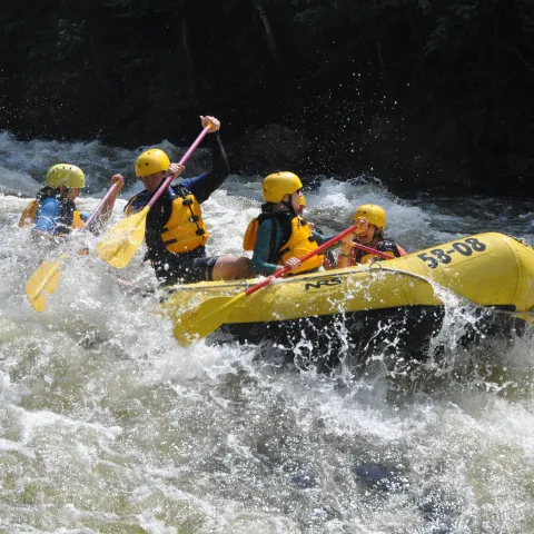 Two UNE business students join inaugural advisory board to support Maine Outdoor Brands organization 